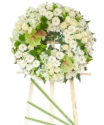 Hoa tươi màu xanh 12628