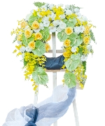 Hoa tươi màu xanh 13100