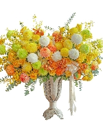 Hoa tươi nhiều màu 14946