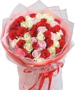 Hoa tươi nhiều màu 8385