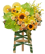 Hoa Hướng Dương 14351