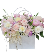 Ngày phụ nữ 11622