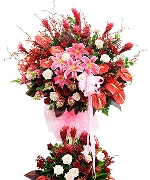 Ngày thầy thuốc 2091