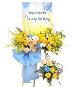 Ngày thầy thuốc 4718