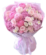 Lover 7179