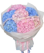 Lover 8526