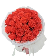 Only rose 12985