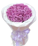 Only rose 4833