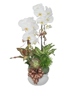 Theo chủ đề 11635