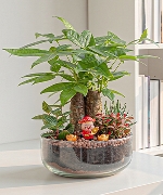 Tiểu cảnh 10043