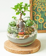 Tiểu cảnh 10246