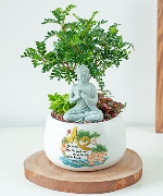Tiểu cảnh 8966